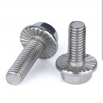 Bulong liền lông đền răng M10